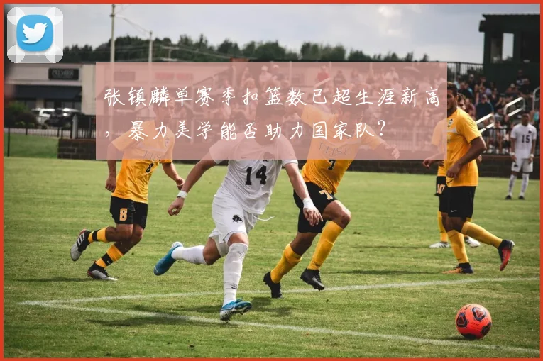 张镇麟单赛季扣篮数已超生涯新高，暴力美学能否助力国家队？