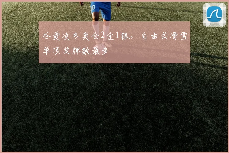 谷爱凌冬奥会2金1银，自由式滑雪单项奖牌数最多